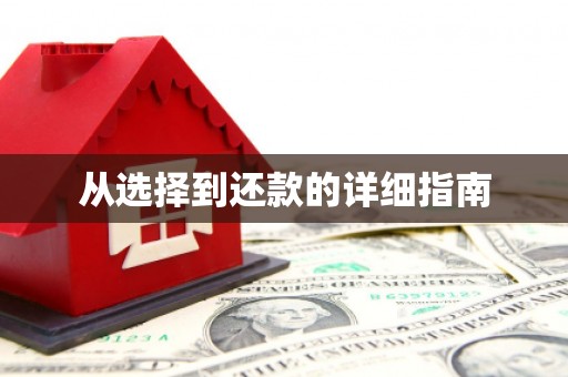 迪庆从选择到还款的详细指南