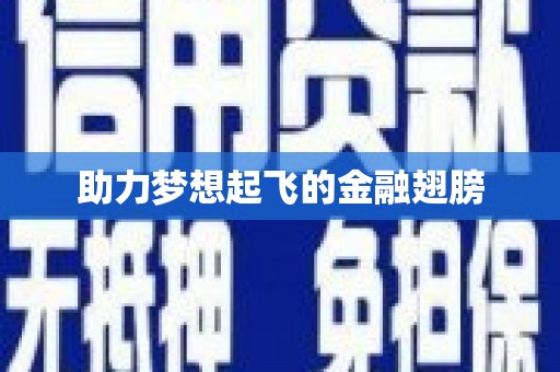 迪庆助力梦想起飞的金融翅膀