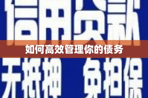 迪庆如何高效管理你的债务