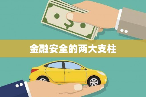 迪庆金融安全的两大支柱