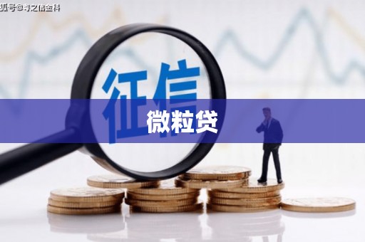 迪庆微粒贷