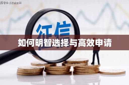 迪庆如何明智选择与高效申请