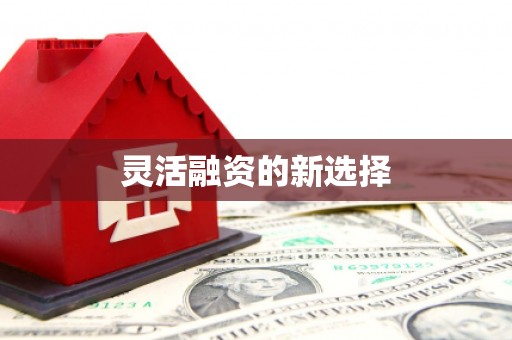 迪庆灵活融资的新选择