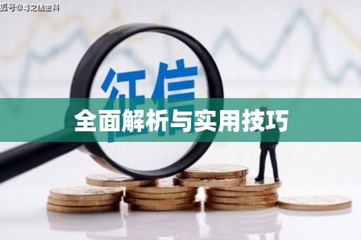 迪庆全面解析与实用技巧