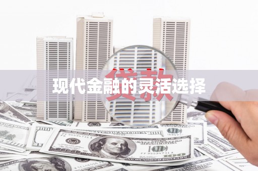迪庆现代金融的灵活选择