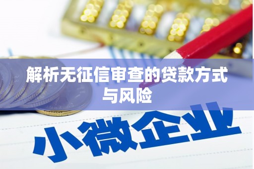迪庆解析无征信审查的贷款方式与风险