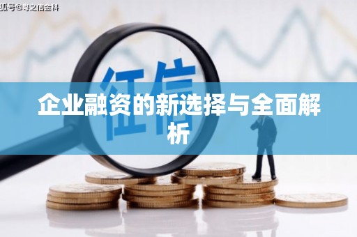 迪庆企业融资的新选择与全面解析