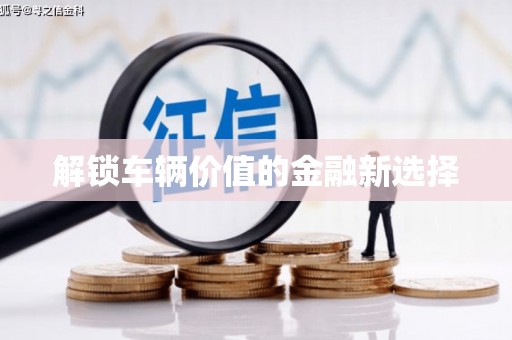 迪庆解锁车辆价值的金融新选择