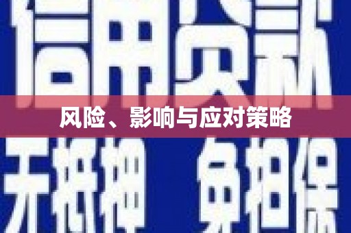 迪庆风险、影响与应对策略