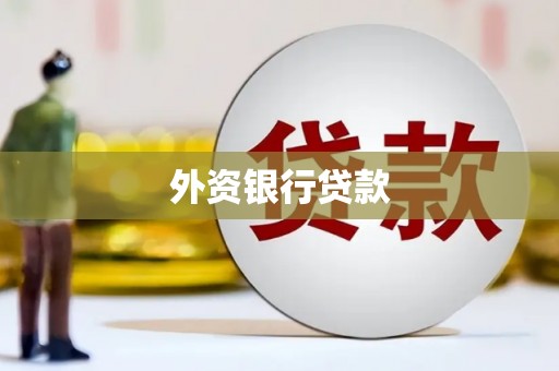 迪庆外资银行贷款