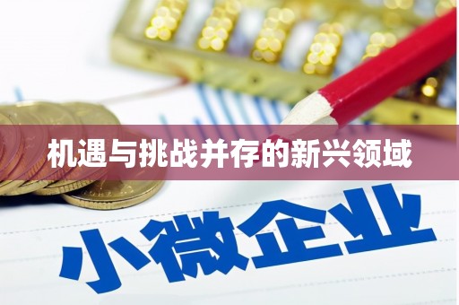 迪庆机遇与挑战并存的新兴领域