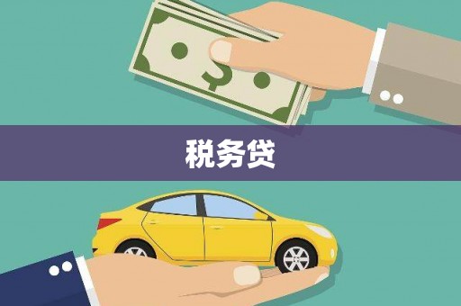 迪庆税务贷