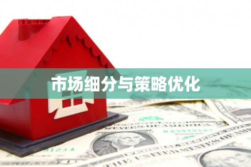 迪庆市场细分与策略优化