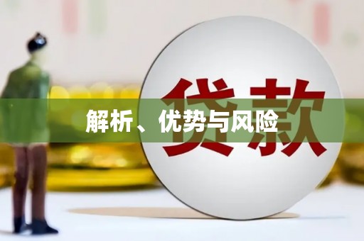 迪庆解析、优势与风险