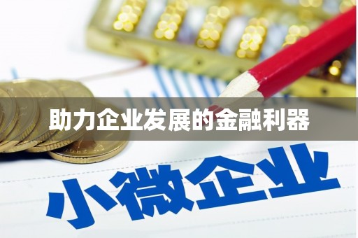 迪庆助力企业发展的金融利器