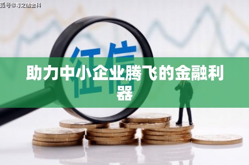 迪庆助力中小企业腾飞的金融利器