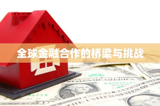 迪庆全球金融合作的桥梁与挑战