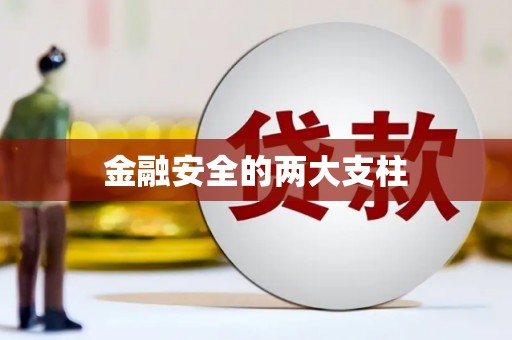 迪庆金融安全的两大支柱