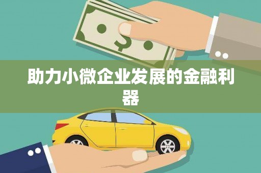 迪庆助力小微企业发展的金融利器