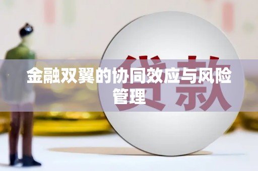 迪庆金融双翼的协同效应与风险管理