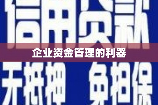 迪庆企业资金管理的利器