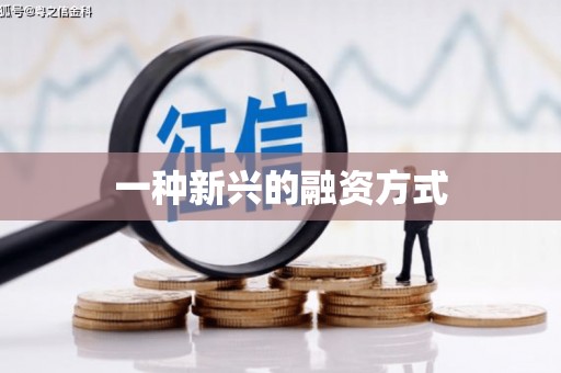 迪庆一种新兴的融资方式