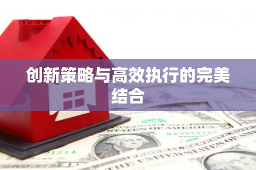 迪庆创新策略与高效执行的完美结合