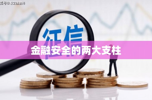 迪庆金融安全的两大支柱