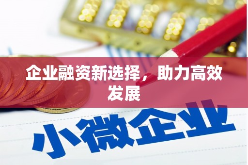 迪庆企业融资新选择，助力高效发展