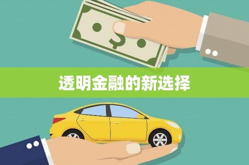 迪庆透明金融的新选择