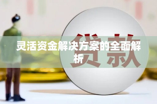 迪庆灵活资金解决方案的全面解析