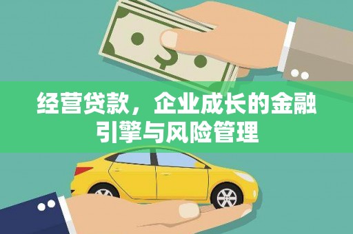 迪庆经营贷款，企业成长的金融引擎与风险管理