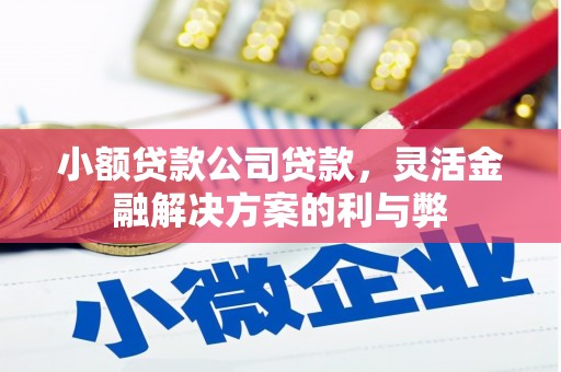 迪庆小额贷款公司贷款，灵活金融解决方案的利与弊