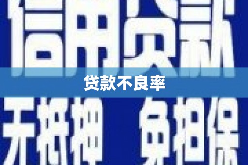 迪庆贷款不良率