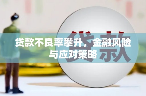 迪庆贷款不良率攀升，金融风险与应对策略