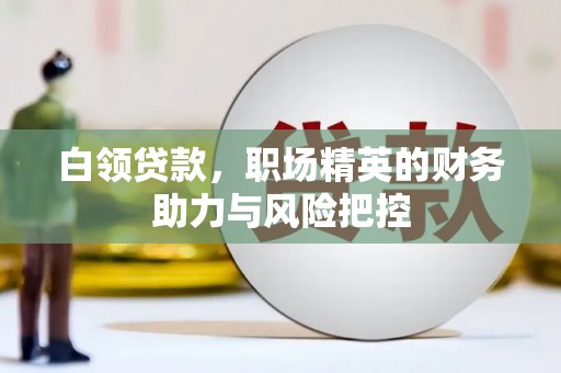 迪庆白领贷款，职场精英的财务助力与风险把控