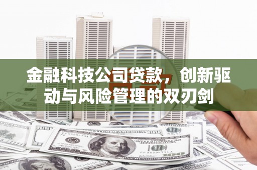 迪庆金融科技公司贷款，创新驱动与风险管理的双刃剑