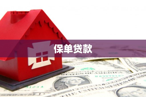 迪庆保单贷款